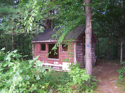 Wilderness House Cabin